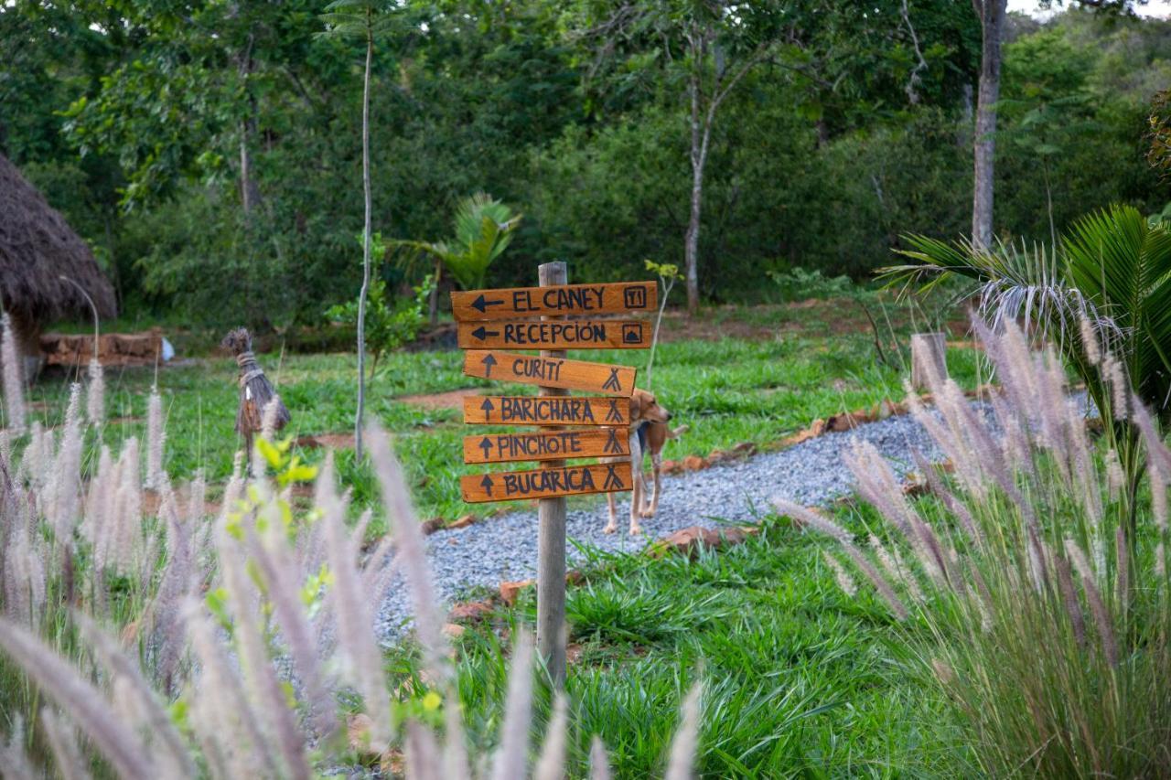 Nativo Glamping Hotel Barichara Exterior photo